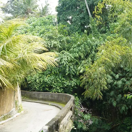 Central House Ubud  Exterior photo